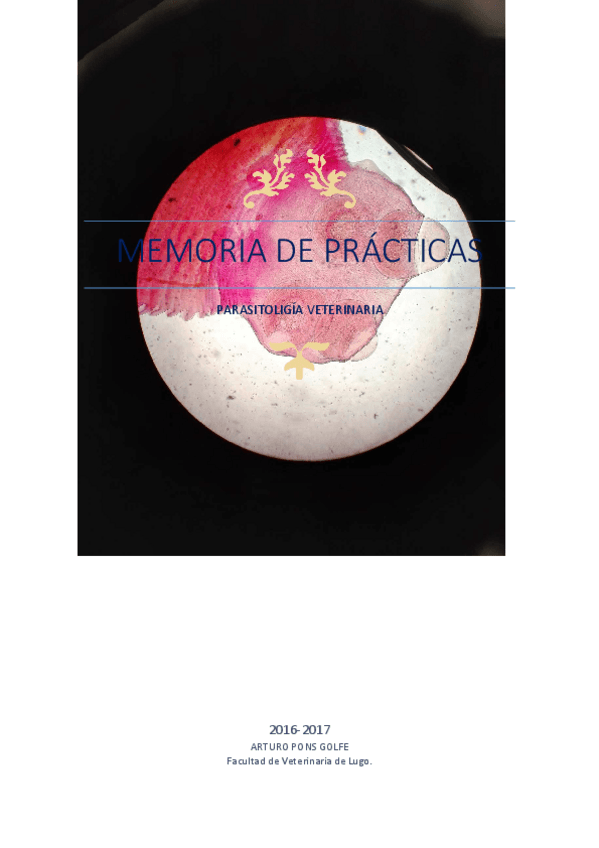 Miniatura del documento MEMORIA-DE-PRACTICAS.pdf