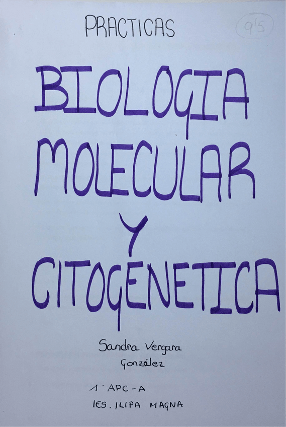 Miniatura del documento CUADERNO-DE-PRACTICAS-BMC.pdf