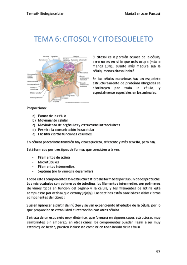 Miniatura del documento TEMA-6.pdf