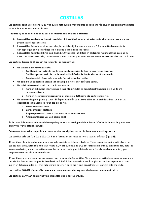Miniatura del documento COSTILLAS.pdf
