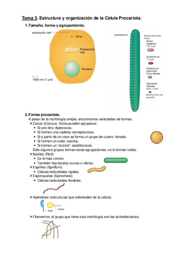 Miniatura del documento Tema-3.pdf