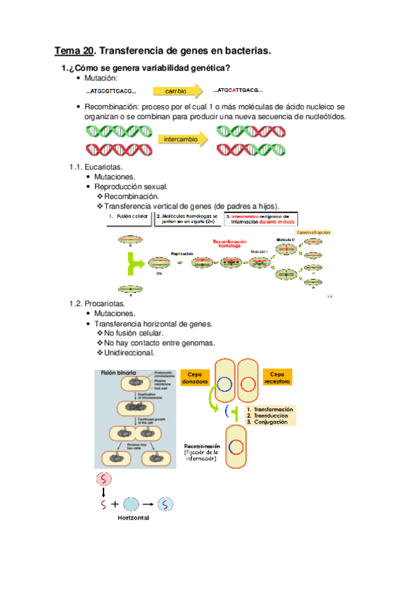 Miniatura del documento Tema-20.pdf