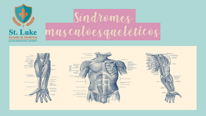 Miniatura del documento sx-musculoesqueleticofinal.pdf