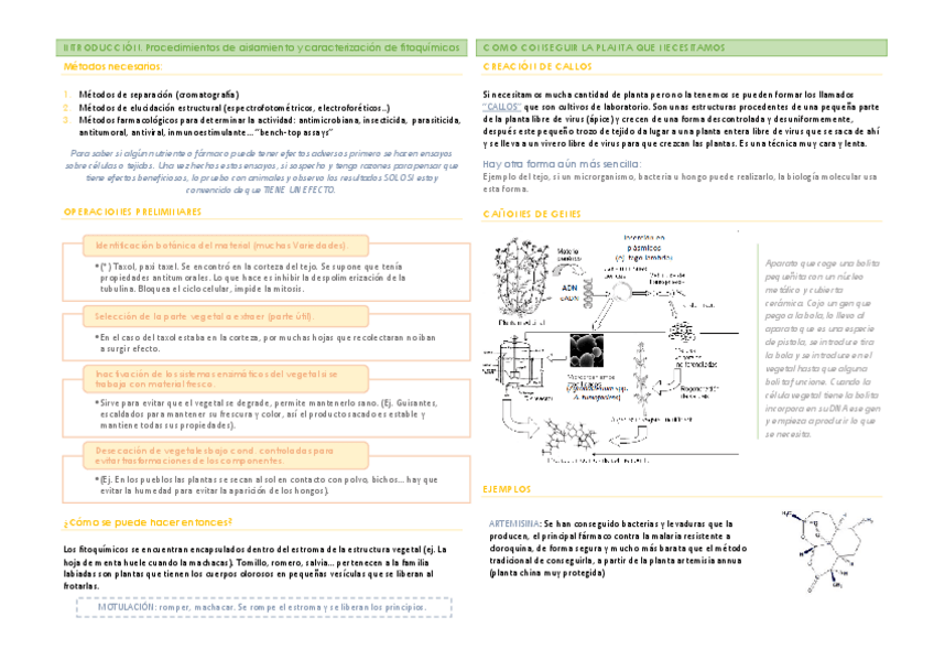 Miniatura del documento T1. Fitoquímicos.pdf
