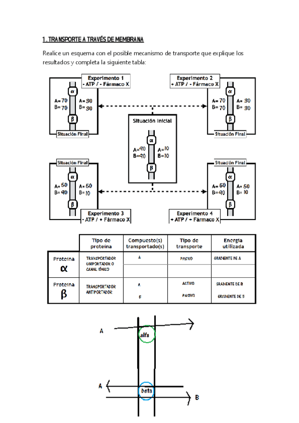 Miniatura del documento 1er-parcial.pdf