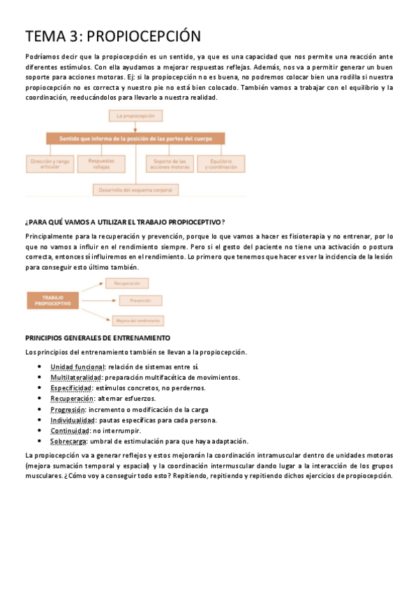 Miniatura del documento TEMA-3.pdf
