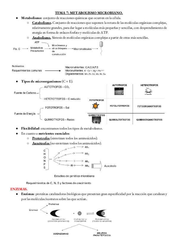 Miniatura del documento MICRO-TEMA-7.pdf