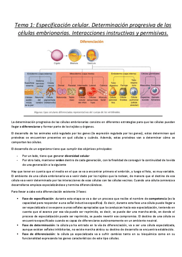 Miniatura del documento TEMARIO-PARCIAL-1.pdf