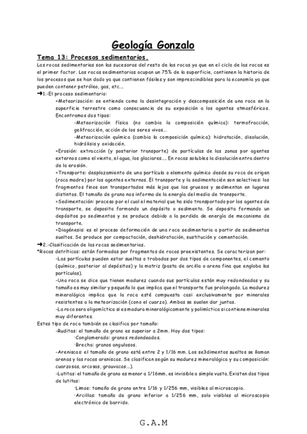 Miniatura del documento Gonzalo.pdf