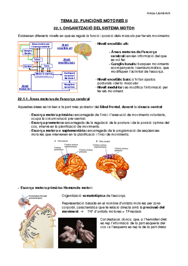 Miniatura del documento Apunts-Fisiologia-i-Fisiopatologia-I-Tema-22.pdf