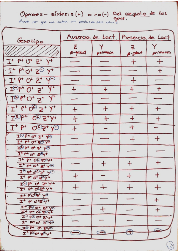 Miniatura del documento Operon Lactosa.pdf