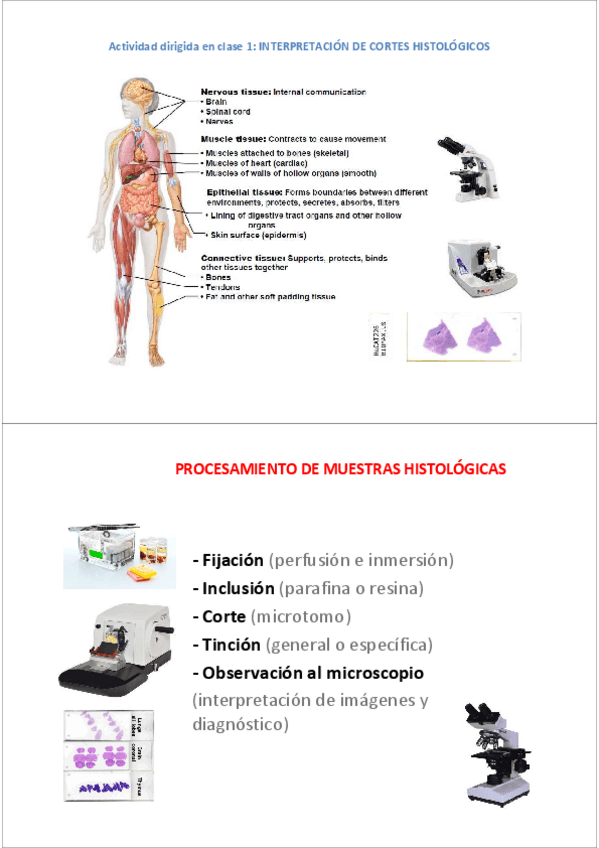 Miniatura del documento Actividad-Dirigida-1.pdf