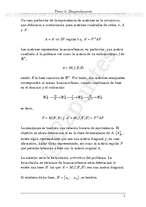 Miniatura del documento Tema-5-Diagonalizacion-con-marca-de-agua-con-marca-de-agua.pdf