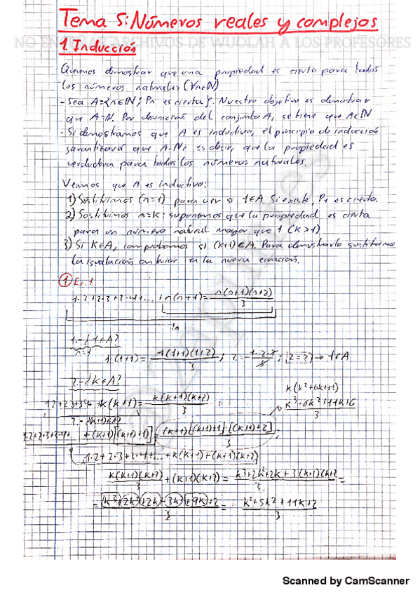Miniatura del documento RESUMEN-DE-CALCULO-con-marca-de-agua-con-marca-de-agua.pdf