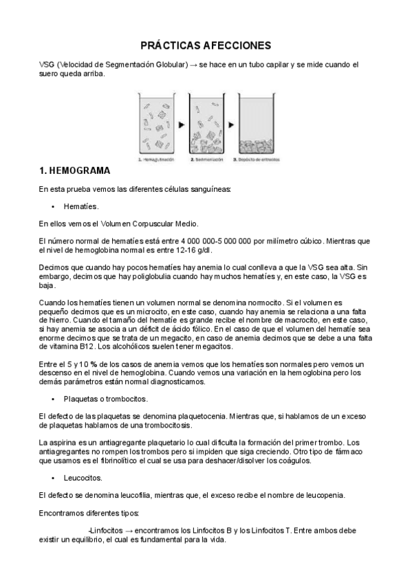 Miniatura del documento PRACTICA HEMOGRAMA-BIOQUÍMICA
