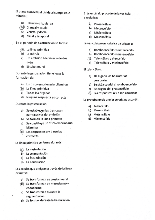 Miniatura del documento PREGUNTAS TIPO TEST ANATOMIA HUMANA 