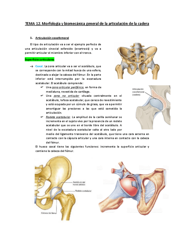 Miniatura del documento TEMA-12.pdf