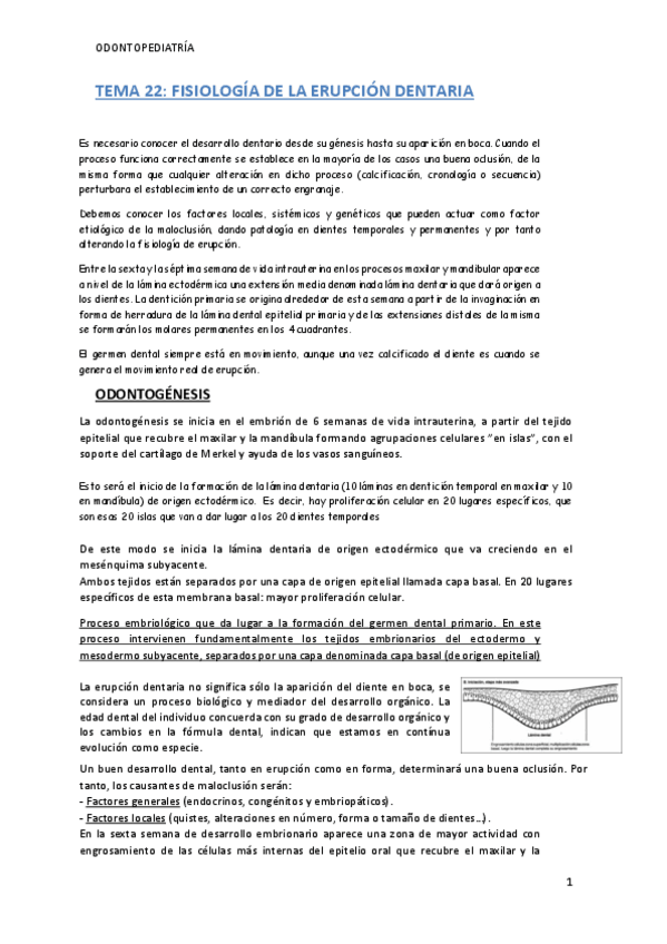 Miniatura del documento TEMA-22-ODONTOPE.pdf