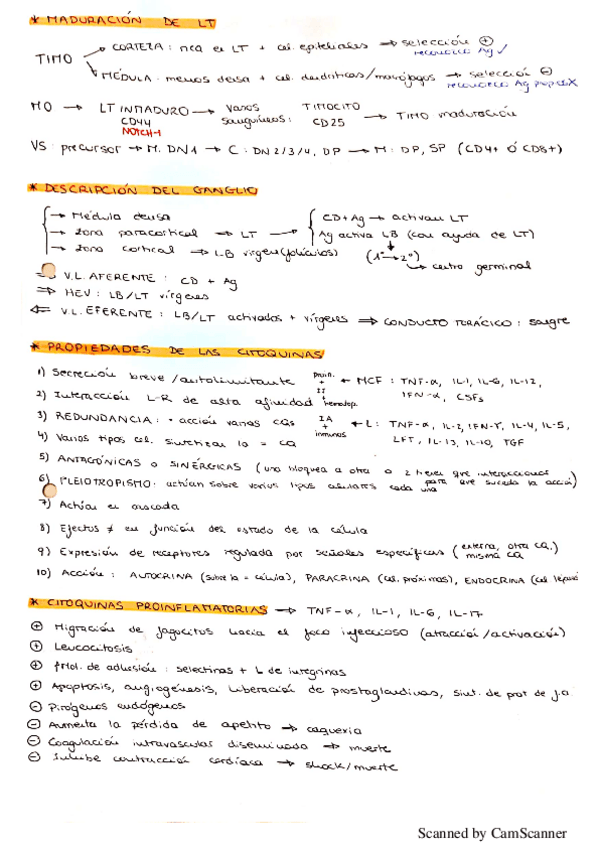 Miniatura del documento Preguntas-posibles-parcial-2.pdf