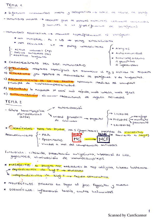 Miniatura del documento RESUMEN-PARCIAL-2.pdf