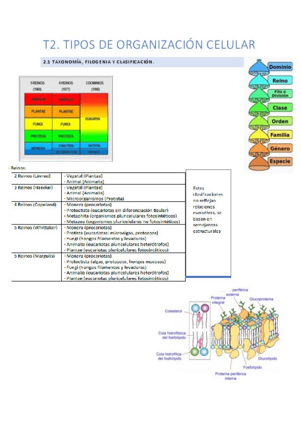 Miniatura del documento Microbiologia-ampliacion.pdf
