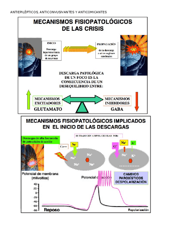 Miniatura del documento 14.docx