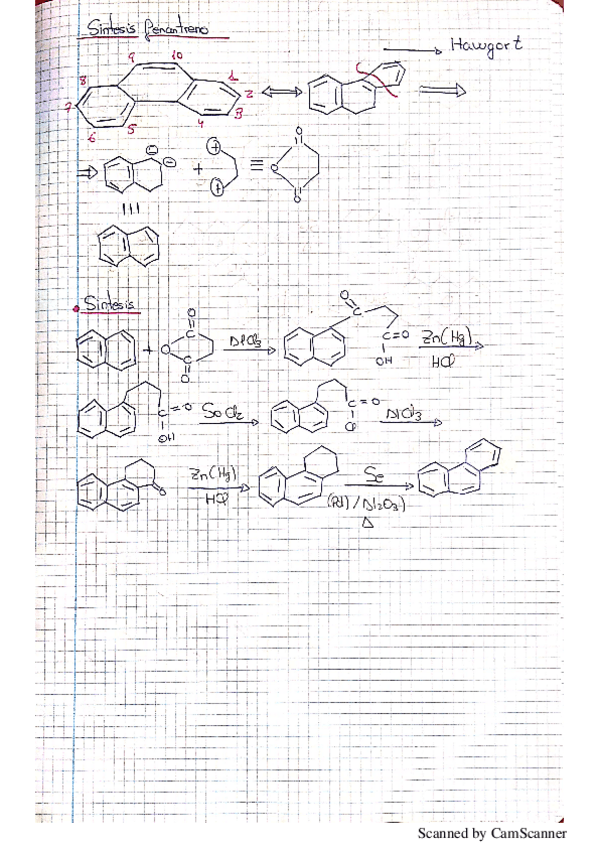 Miniatura del documento NuevoDocumento-2019-11-26-14.pdf
