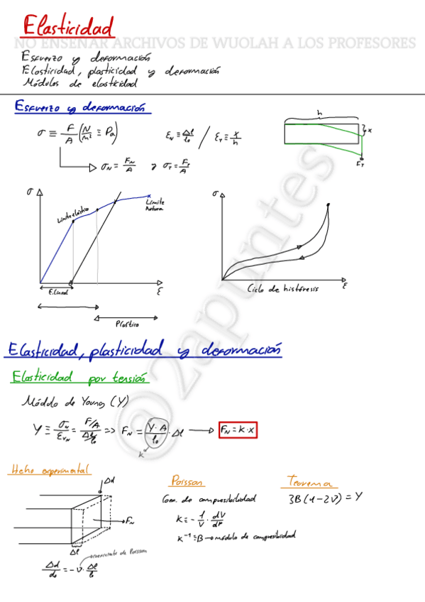 Miniatura del documento Elasticidad.pdf
