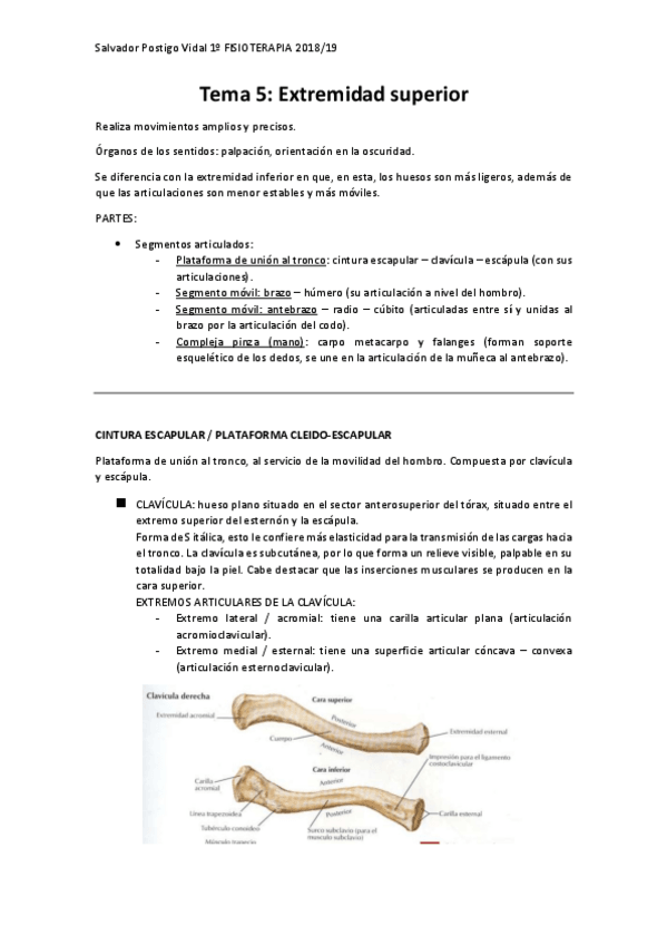 Miniatura del documento 5.pdf
