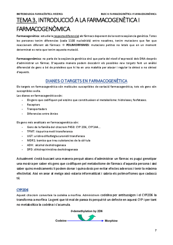 Miniatura del documento RECERCA.pdf