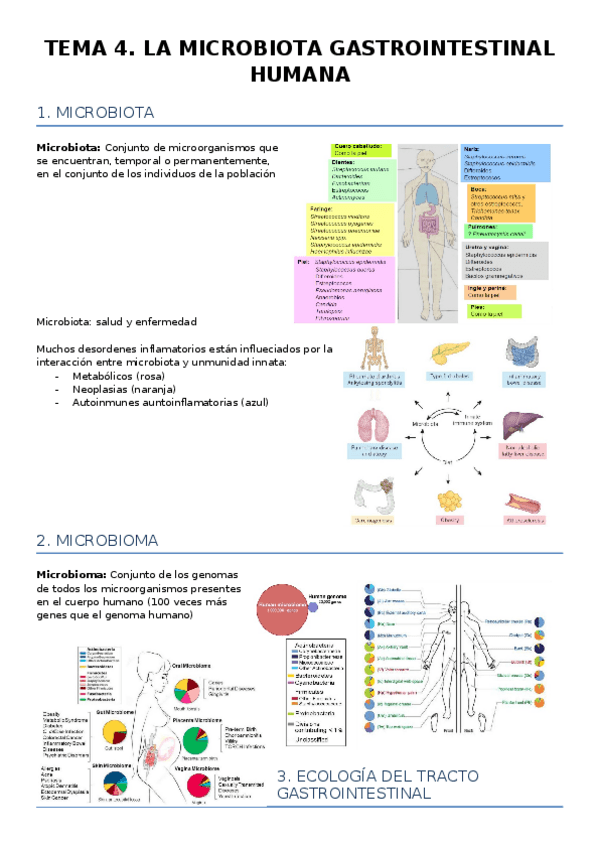 Miniatura del documento TEMA-4.docx