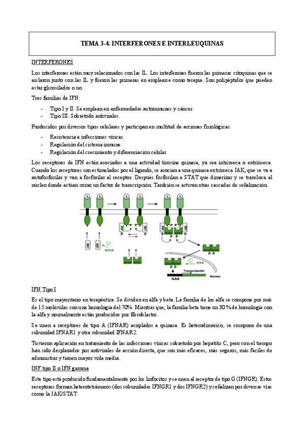 Miniatura del documento TEMAS-3-Y-4-PRODUCTOS.pdf
