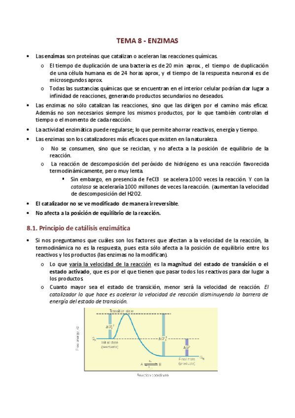 Miniatura del documento TEMA-8-Enzimas.pdf