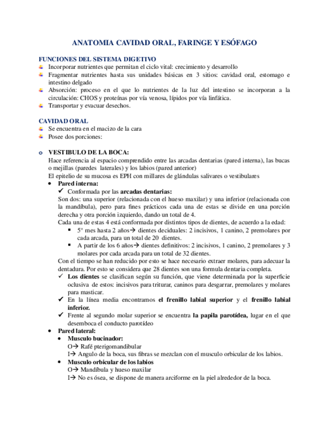 Miniatura del documento ANATOMIA-CAVIDAD-ORAL-FARINGE-Y-ESOFAGO.docx
