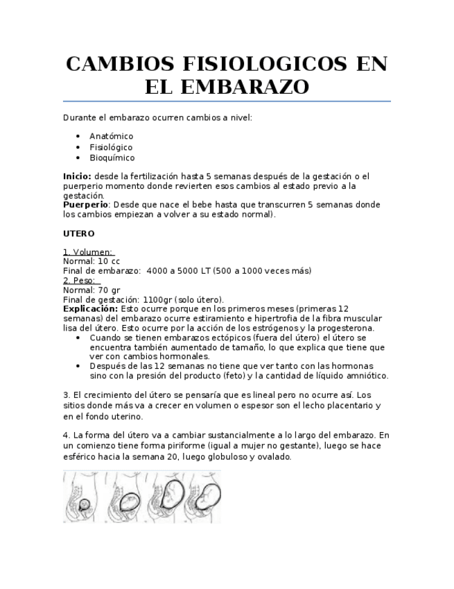 Miniatura del documento 5.docx