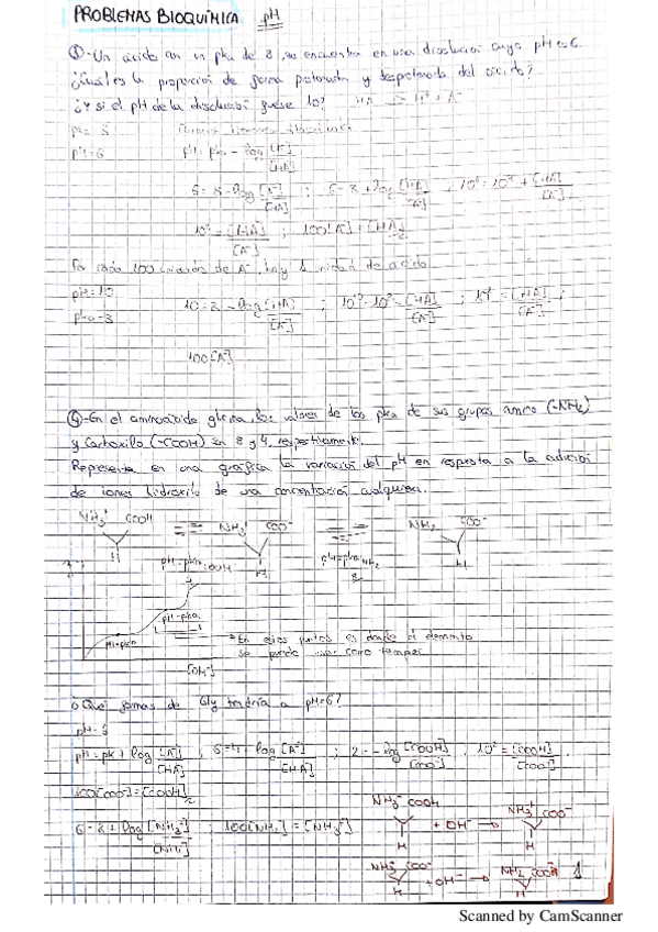 Miniatura del documento problemas-resueltos-bioquimica.pdf