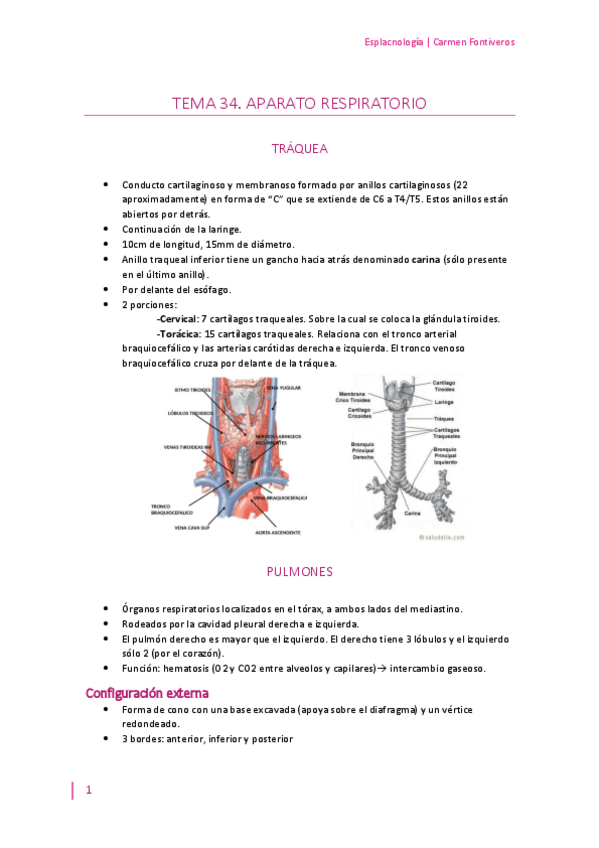 Miniatura del documento Tema-34.pdf