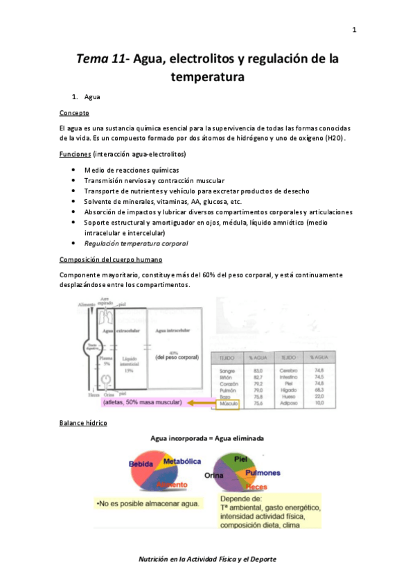 Miniatura del documento Tema-11-Agua-electrolitos-y-regulacion-de-la-temperatura.pdf