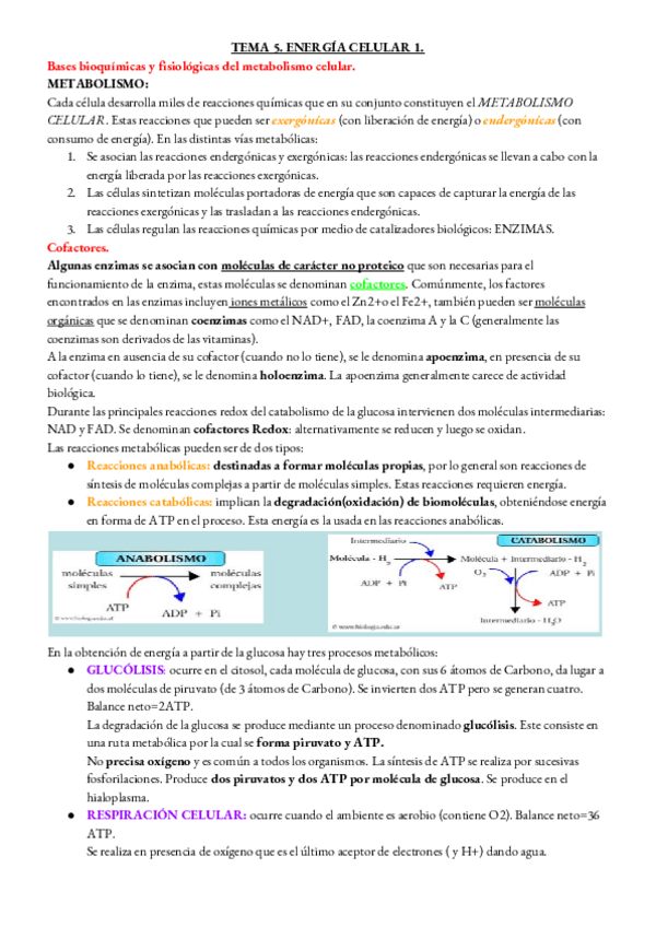 Miniatura del documento BIOLOGIA-TEMA-5.pdf