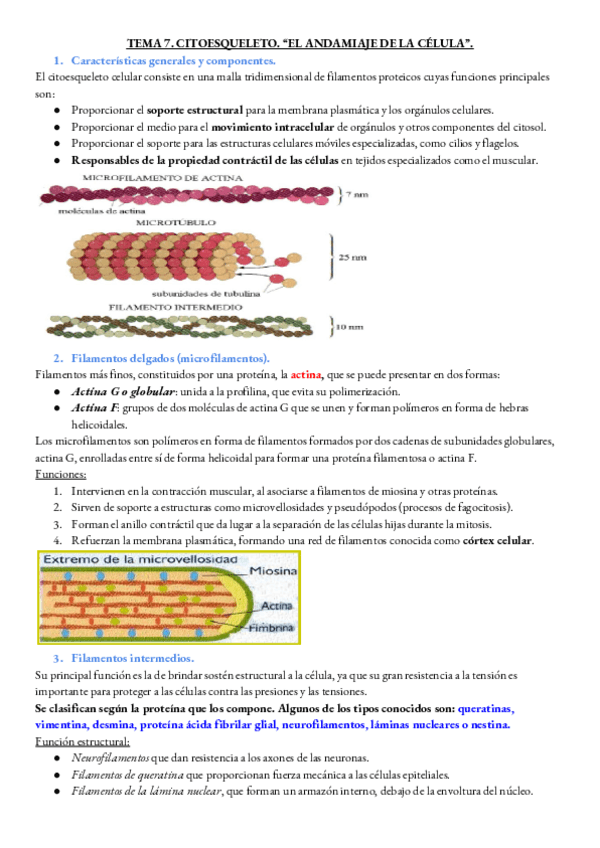 Miniatura del documento BIOLOGIA-TEMA-7.pdf