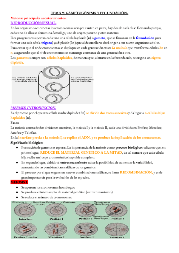 Miniatura del documento BIOLOGIA-TEMA-9.pdf