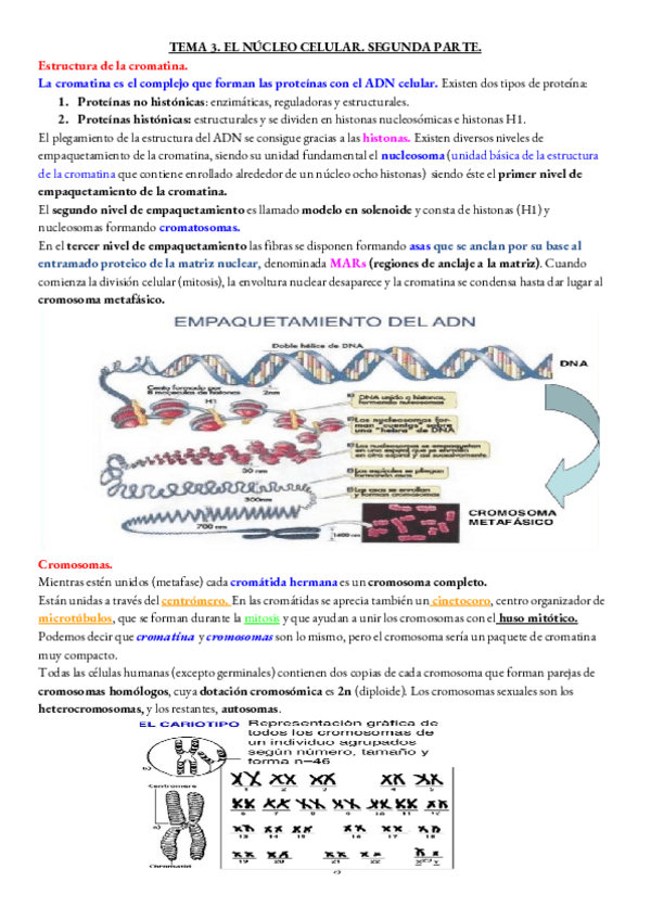 Miniatura del documento BIOLOGIA-TEMA-3-PARTE-2-.pdf