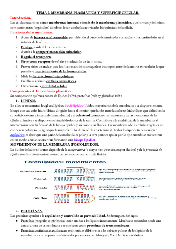Miniatura del documento BIOLOGIA-TEMA-2-.pdf