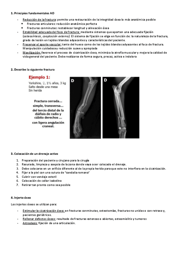 Miniatura del documento Preguntas-Resueltas.pdf