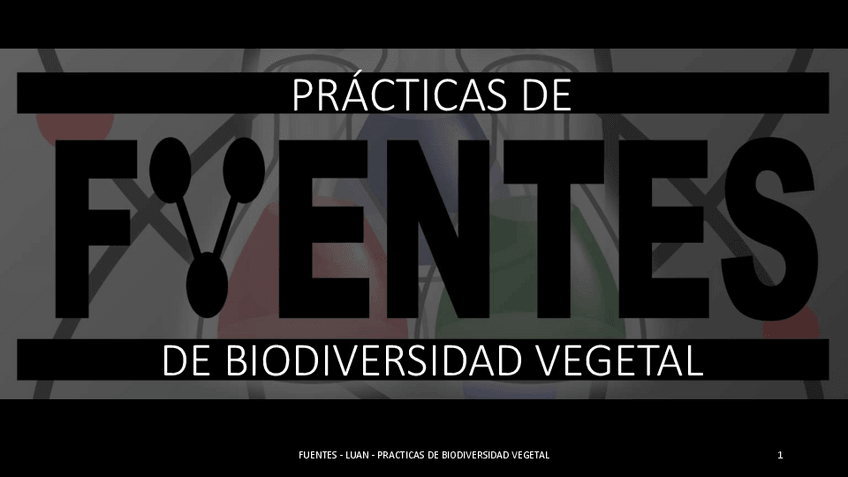 Miniatura del documento FUENTES-PRACTICAS-DE-BIODIVERSIDAD-VEGETAL-LIGHTQ.pdf