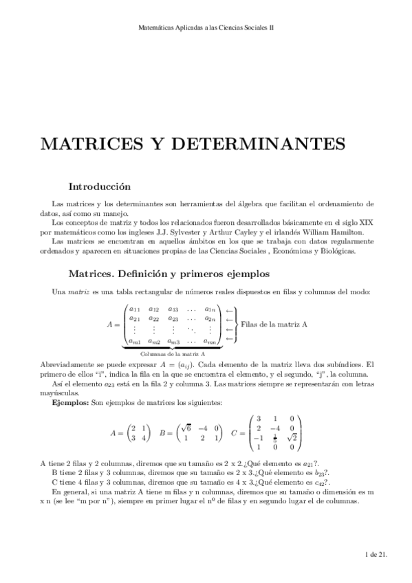 Miniatura del documento Tema-matrices-adicional.pdf