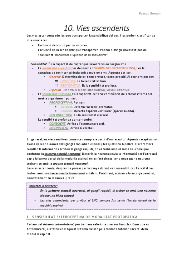 Miniatura del documento T10.pdf