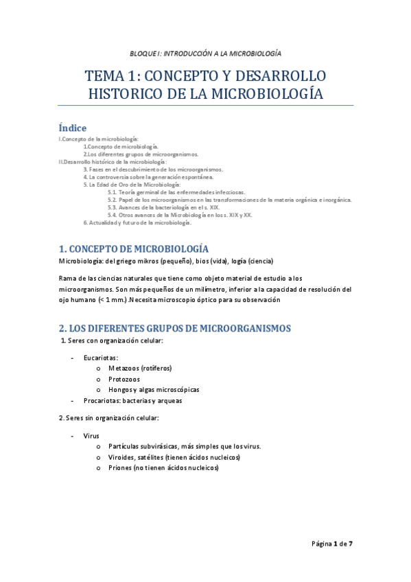 Miniatura del documento TEMA_01_MICRO_I_RODELAS.pdf