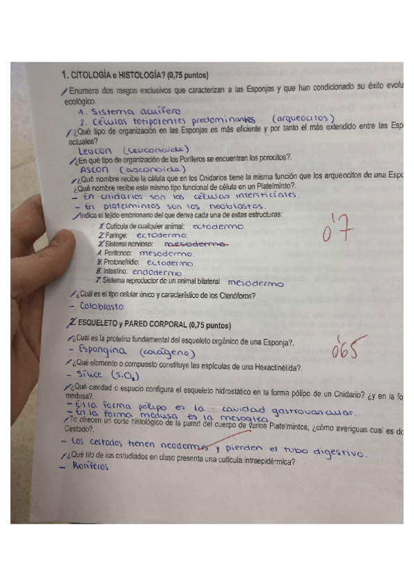 Miniatura del documento Segundo-Parcial.pdf