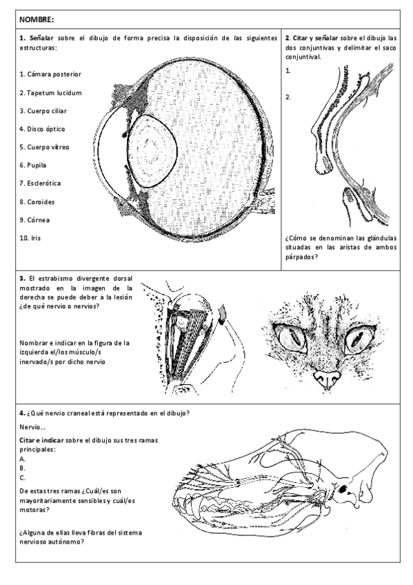 Miniatura del documento Examen-Anatomia-I-Julio-2018-FINAL.pdf